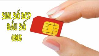 đầu số 0903 là mạng gì